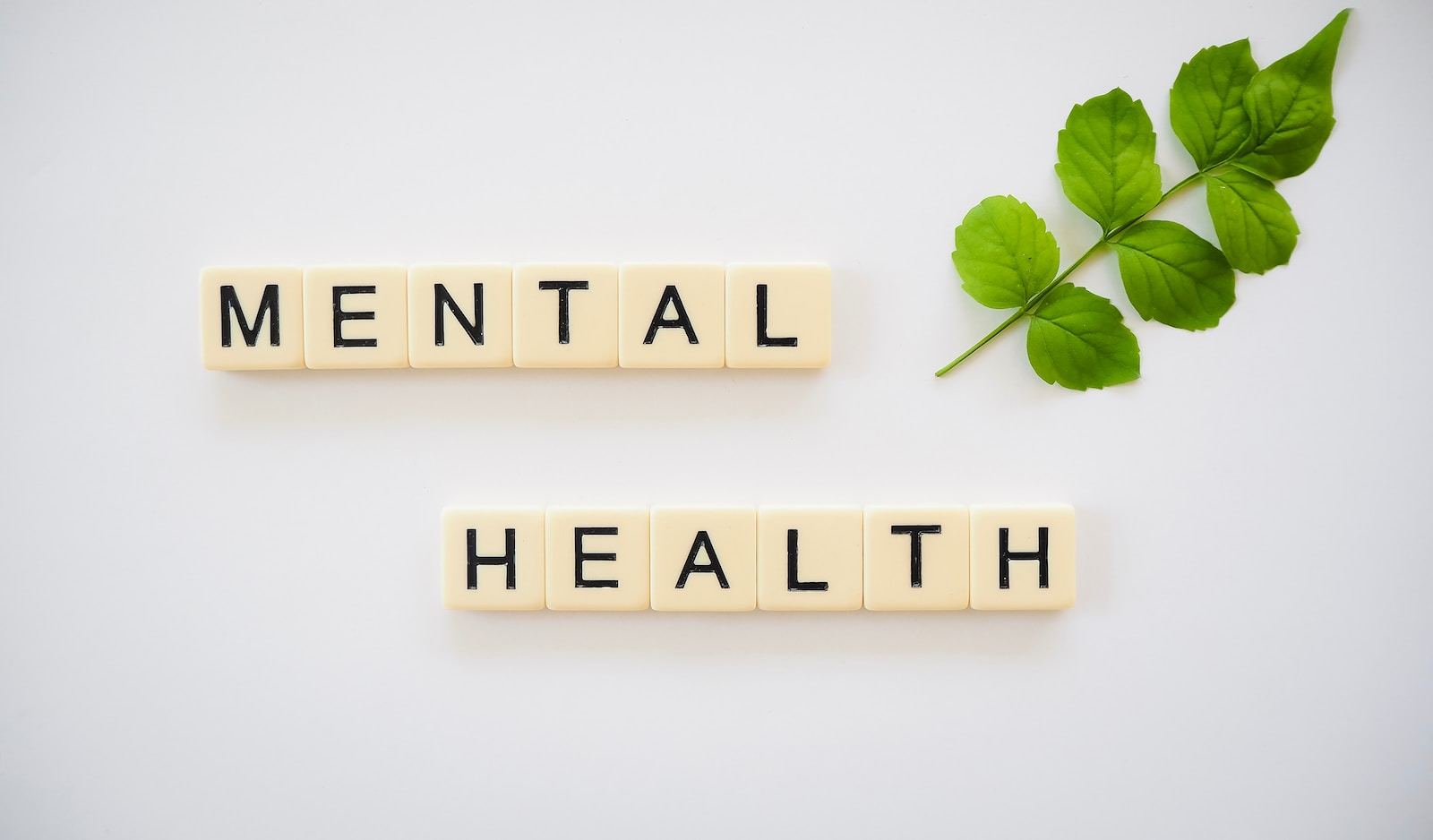 5 REAL and EFFECTIVE Ways To Maintain Good Mental Health