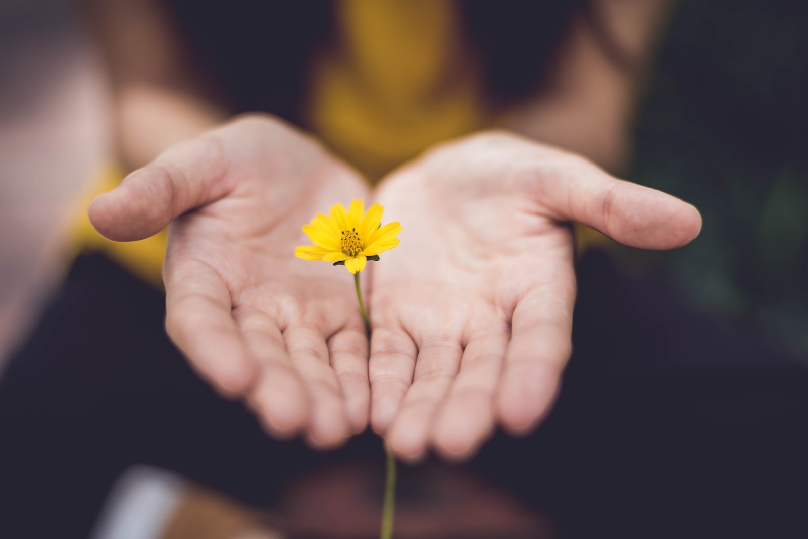Here Are How You Can Give Hope For The Hopeless: 7 Ways On How To Help Someone Who Is Suicidal